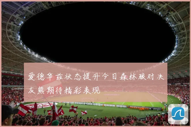 爱德华兹状态提升今日森林狼对决灰熊期待精彩表现