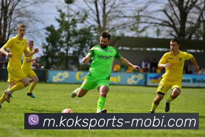 KOK体育平台生态图